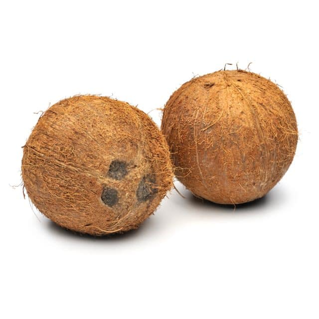 Produkt 10