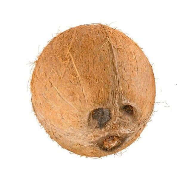 Product 12